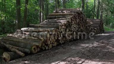 区非法砍伐森林植被.. 从森林里剪下树木和木<strong>树干</strong>。 一堆<strong>木头</strong>在附近